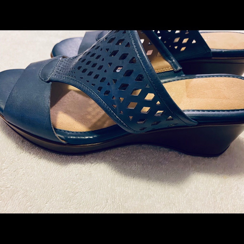 Brand New Super Stylish Wedge Heels By Naturalizer  Box 52